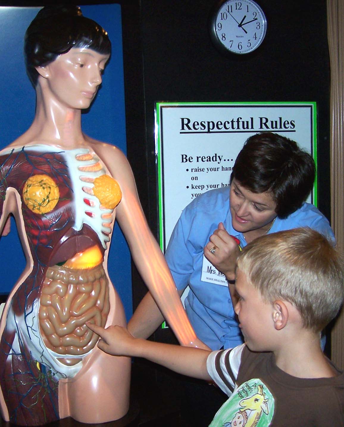 Child and instructor looking at TAM (Transparent Anatomical Mannequin)